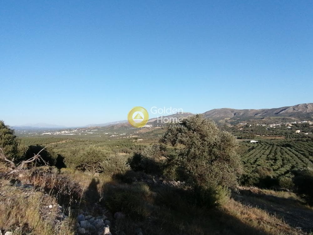 Αγροτεμάχιο στην Καμηλάρι, Τυμπάκι — Φωτογραφία 24 από 25