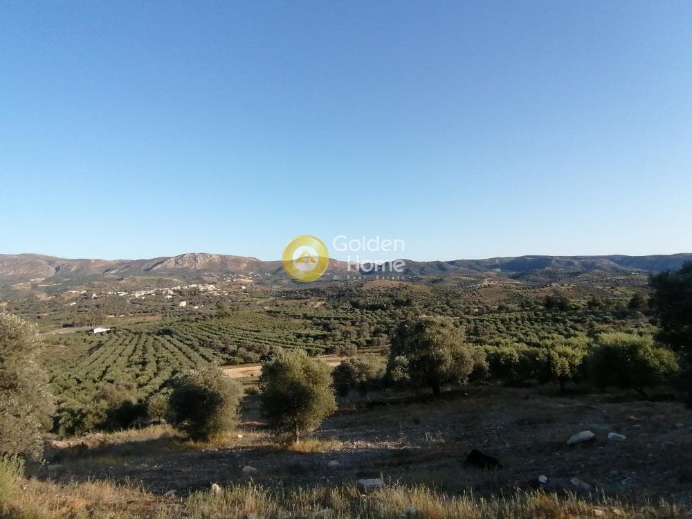 Αγροτεμάχιο στην Καμηλάρι, Τυμπάκι — Φωτογραφία 25 από 25