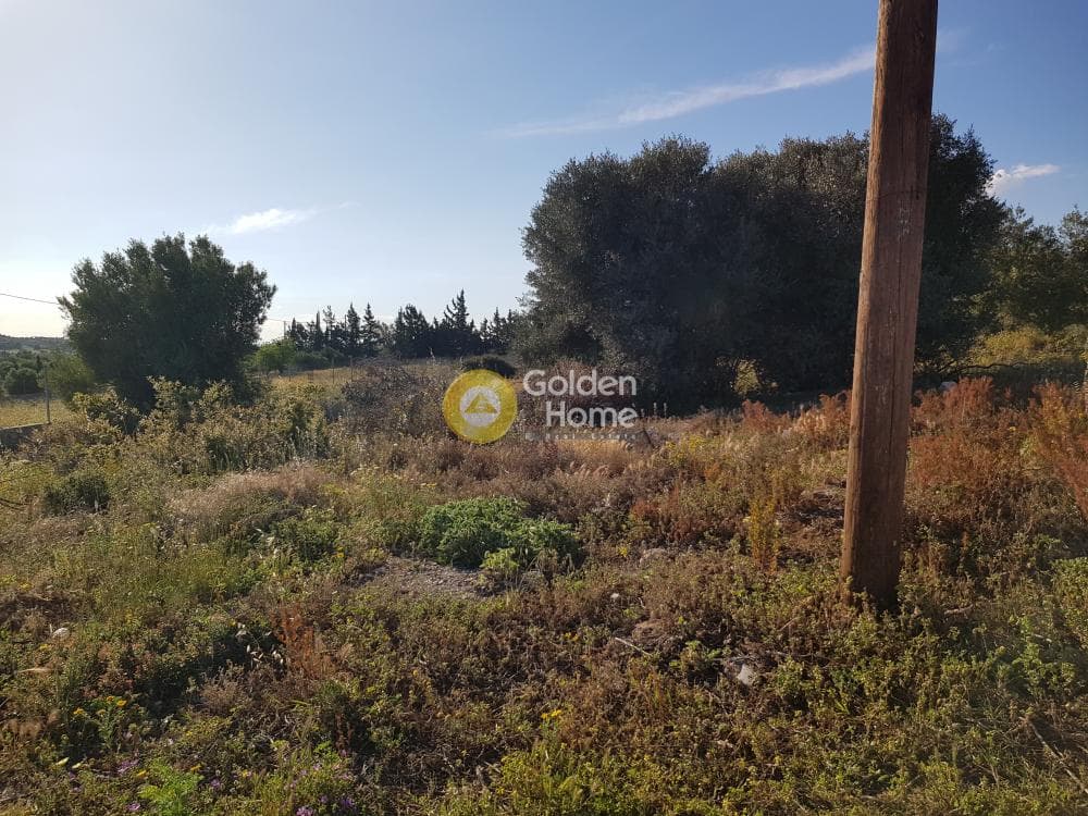 Αγροτεμάχιο στην Καλύβια, Καλύβια Θορικού — Φωτογραφία 2 από 3