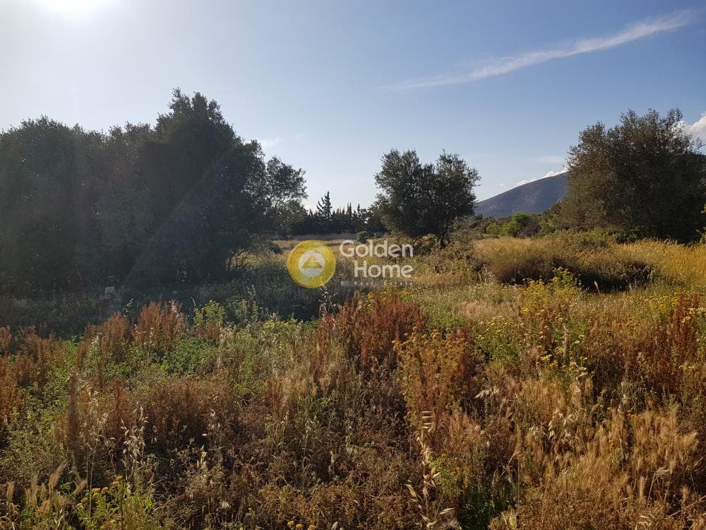 Αγροτεμάχιο στην Καλύβια, Καλύβια Θορικού — Φωτογραφία 1 από 3