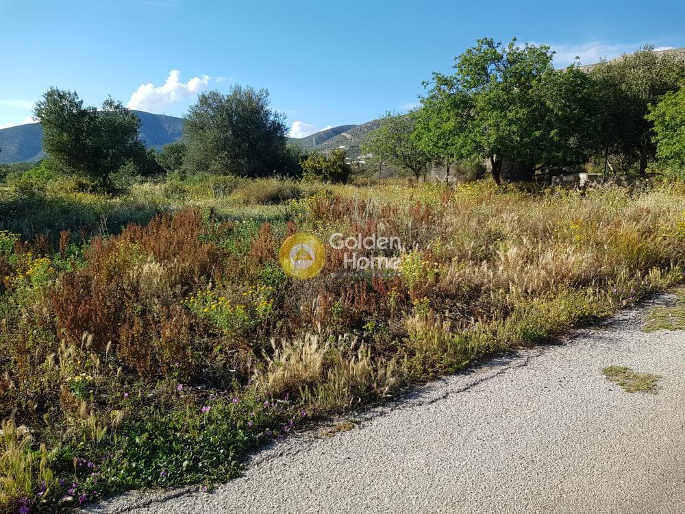 Αγροτεμάχιο στην Καλύβια, Καλύβια Θορικού — Φωτογραφία 3 από 3