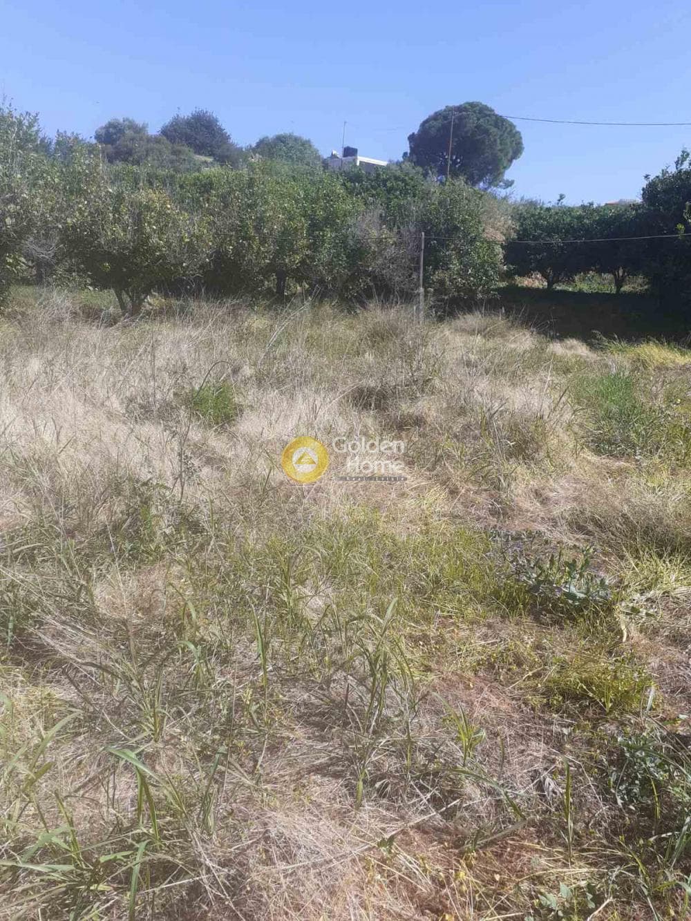 Parcel in Agia Pelagia, Gazi — Photo 2 of 12