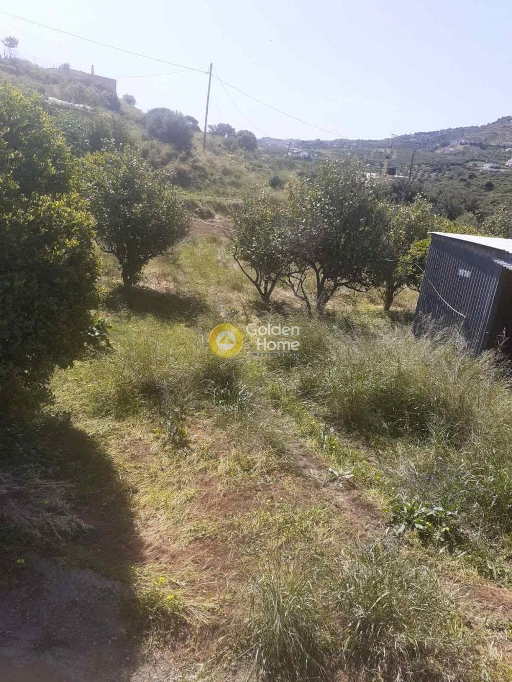 Parcel in Agia Pelagia, Gazi — Photo 4 of 12