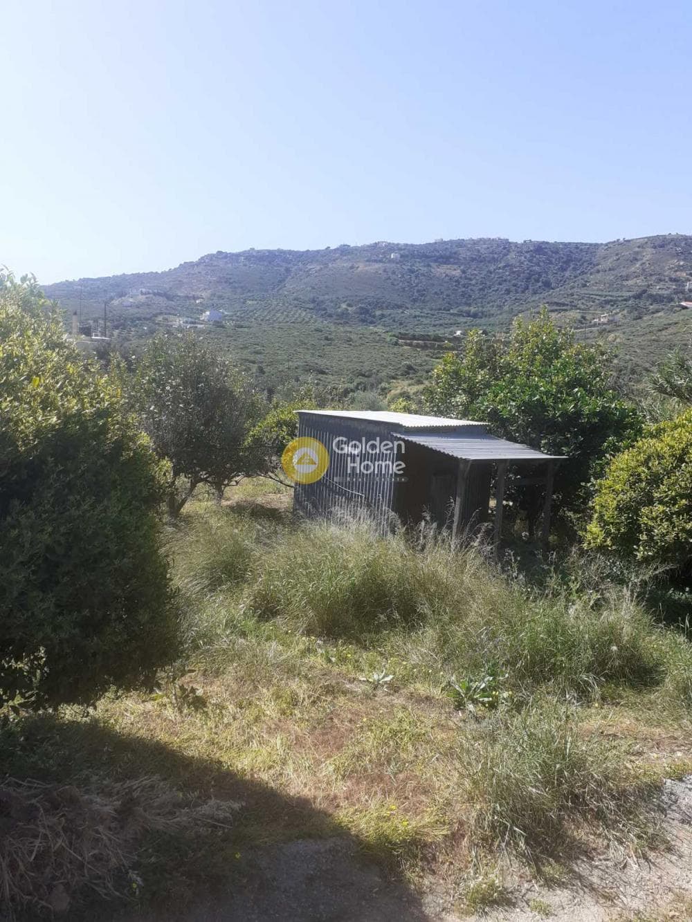 Parcel in Agia Pelagia, Gazi — Photo 9 of 12