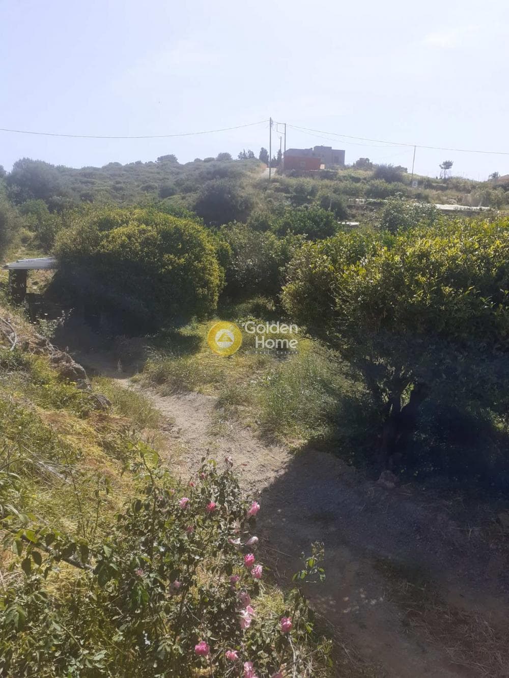 Parcel in Agia Pelagia, Gazi — Photo 8 of 12