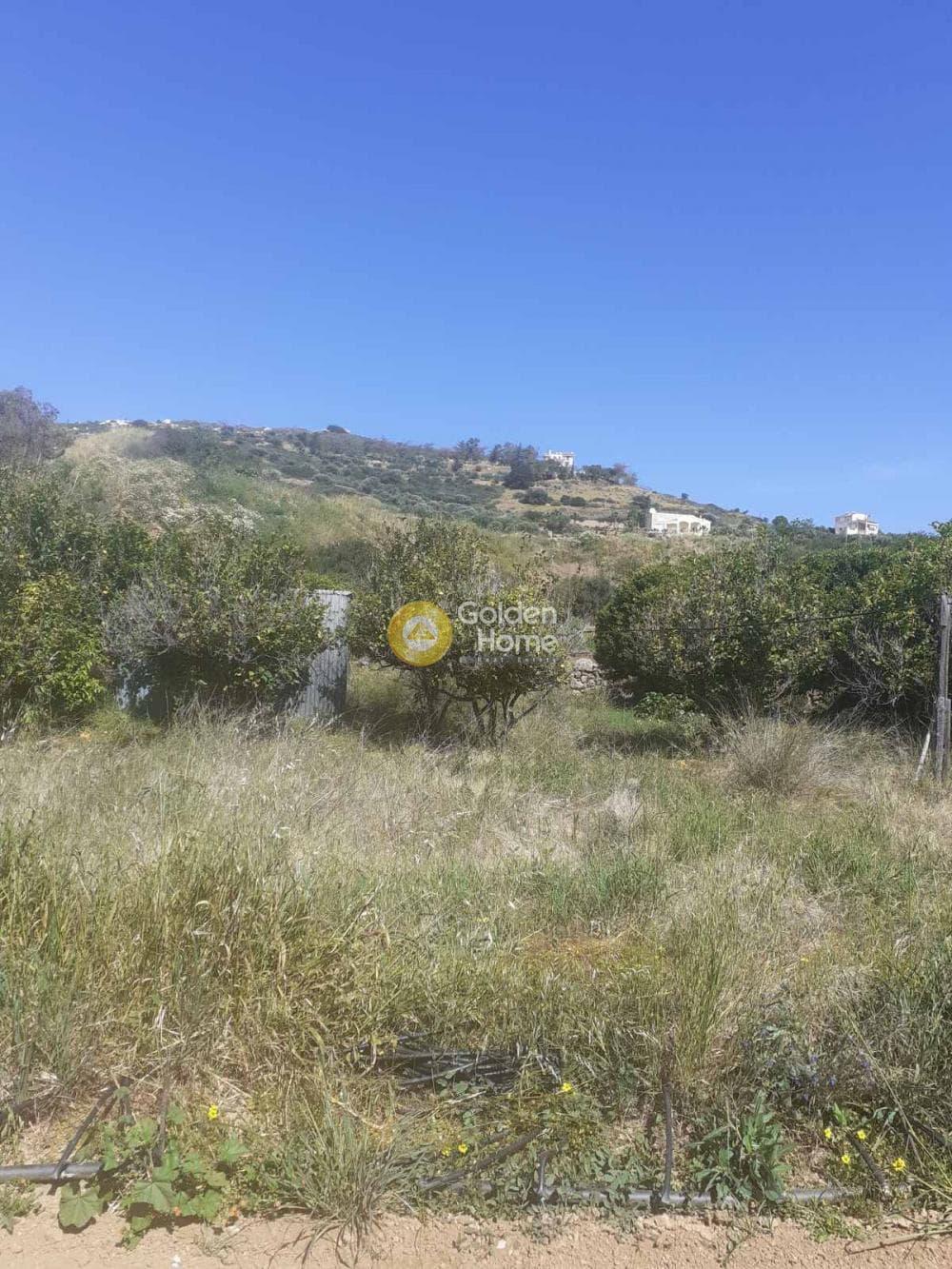 Parcel in Agia Pelagia, Gazi — Photo 6 of 12