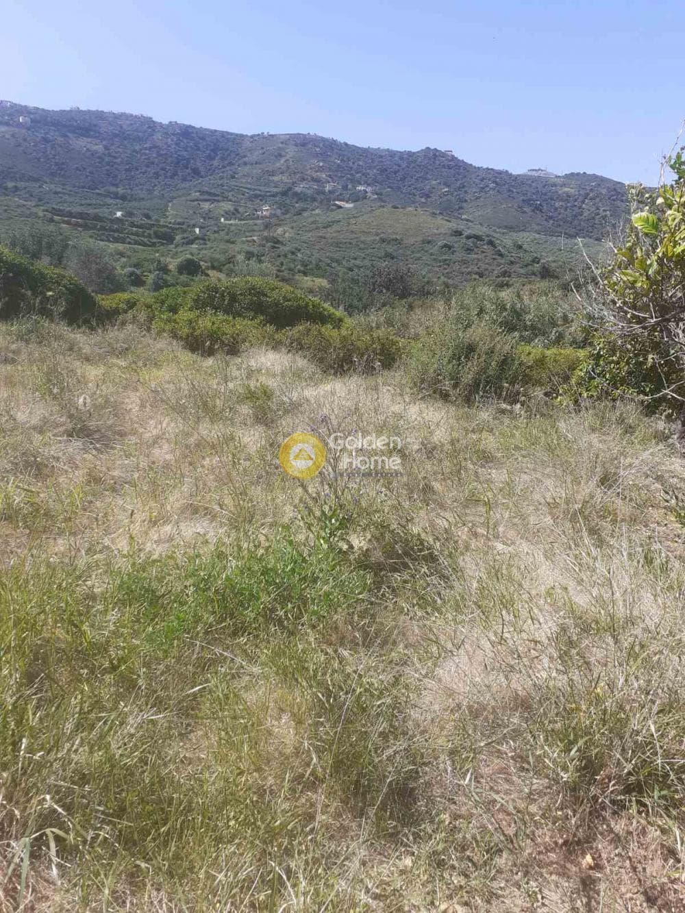 Parcel in Agia Pelagia, Gazi — Photo 11 of 12