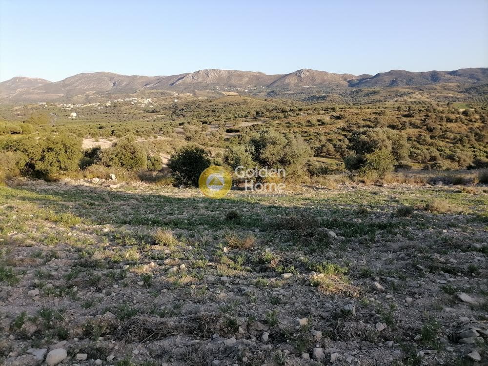 Αγροτεμάχιο στην Καμηλάρι, Τυμπάκι — Φωτογραφία 2 από 22
