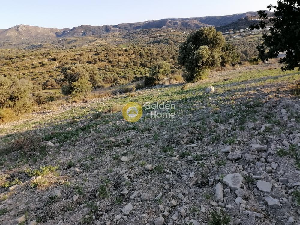 Αγροτεμάχιο στην Καμηλάρι, Τυμπάκι — Φωτογραφία 4 από 22
