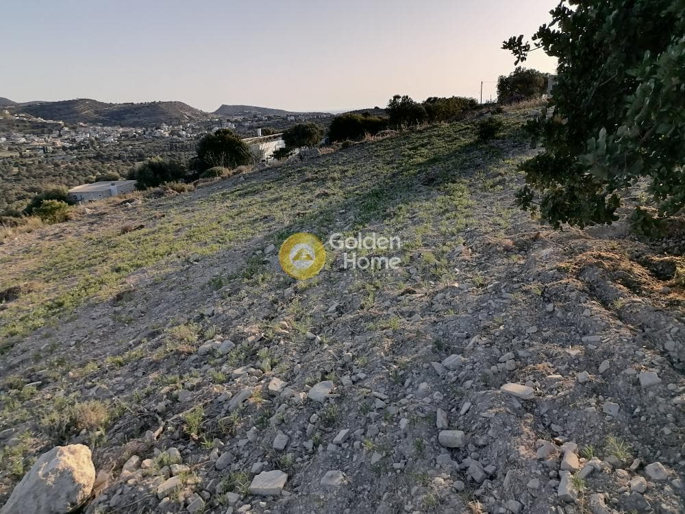Αγροτεμάχιο στην Καμηλάρι, Τυμπάκι — Φωτογραφία 8 από 22