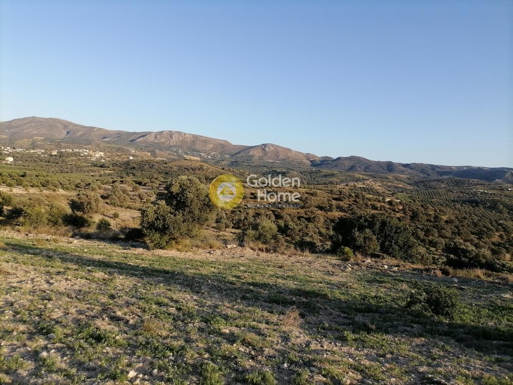 Αγροτεμάχιο στην Καμηλάρι, Τυμπάκι — Φωτογραφία 1 από 22