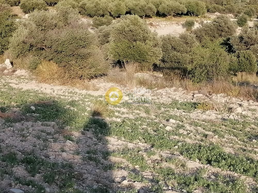 Αγροτεμάχιο στην Καμηλάρι, Τυμπάκι — Φωτογραφία 9 από 22
