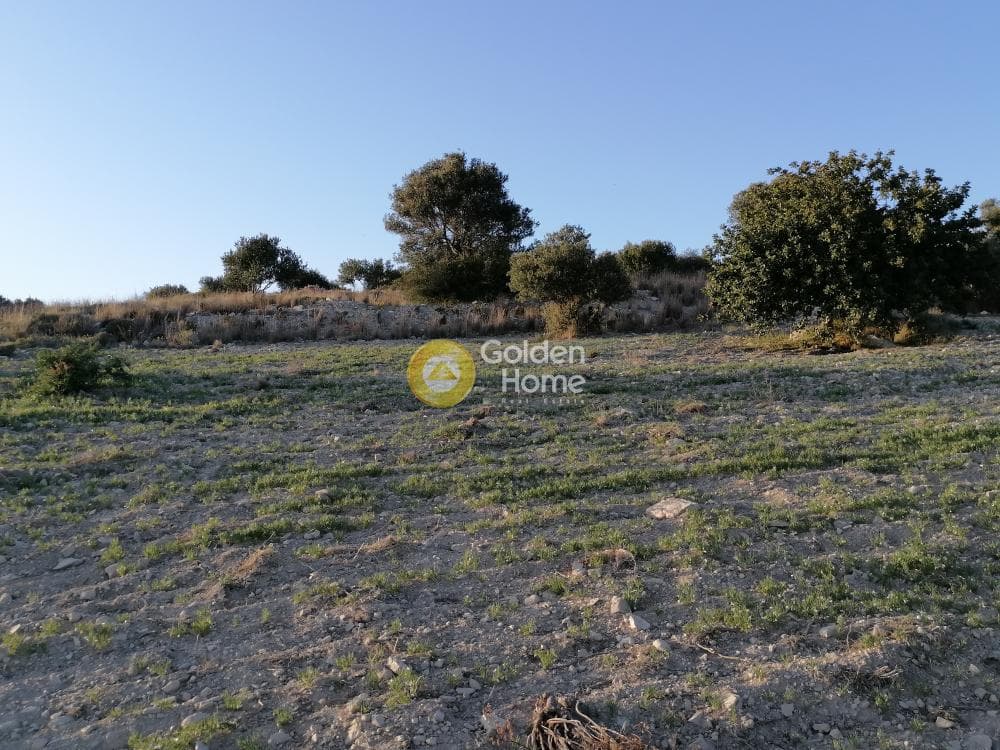 Αγροτεμάχιο στην Καμηλάρι, Τυμπάκι — Φωτογραφία 11 από 22