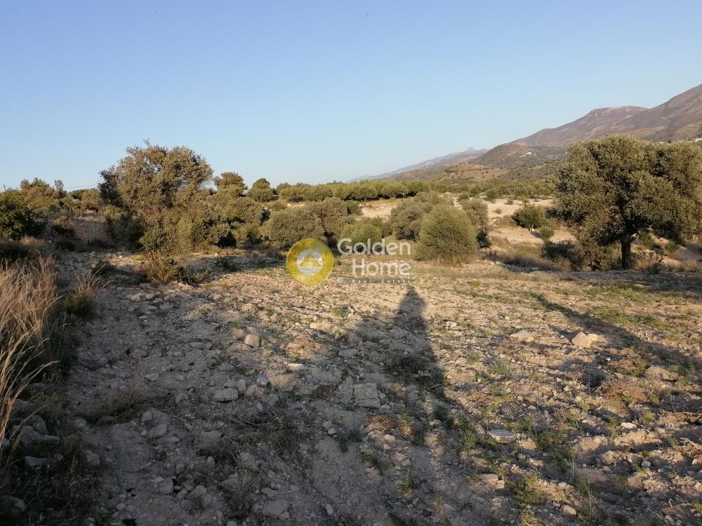 Αγροτεμάχιο στην Καμηλάρι, Τυμπάκι — Φωτογραφία 12 από 22