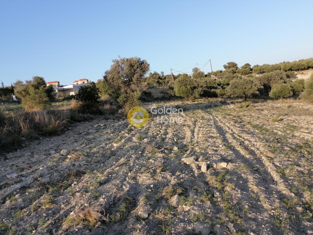 Αγροτεμάχιο στην Καμηλάρι, Τυμπάκι — Φωτογραφία 13 από 22