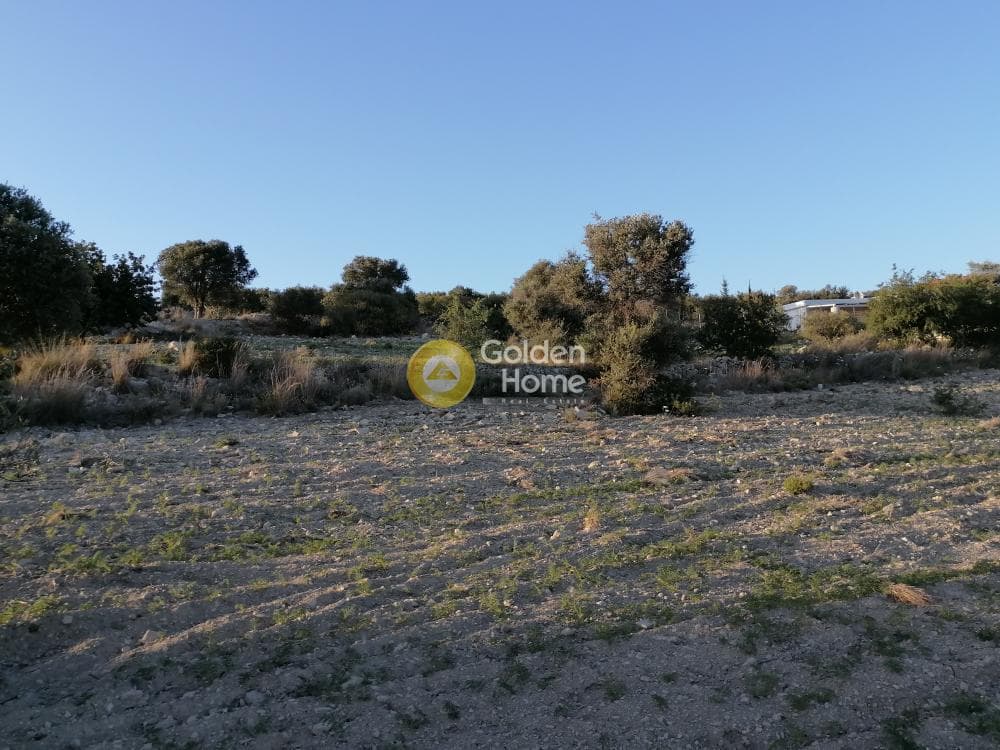 Αγροτεμάχιο στην Καμηλάρι, Τυμπάκι — Φωτογραφία 15 από 22