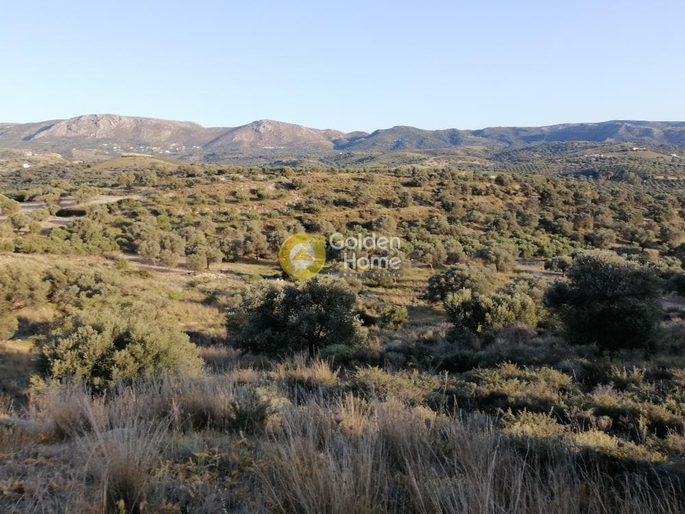 Αγροτεμάχιο στην Καμηλάρι, Τυμπάκι — Φωτογραφία 3 από 22