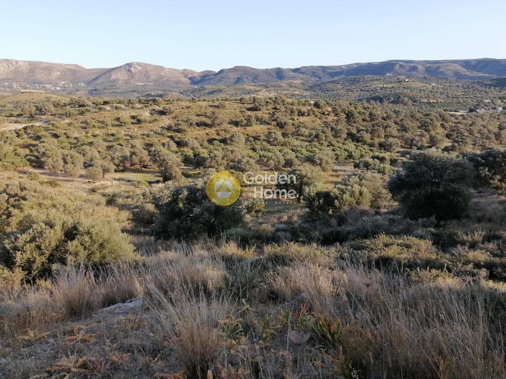 Αγροτεμάχιο στην Καμηλάρι, Τυμπάκι — Φωτογραφία 6 από 22