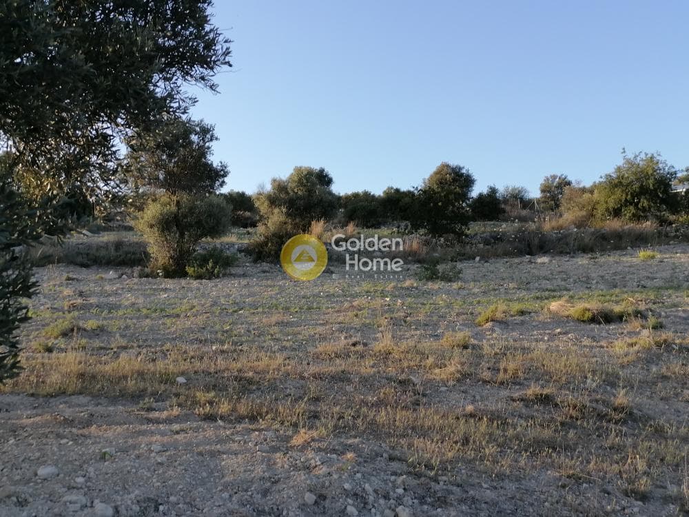 Αγροτεμάχιο στην Καμηλάρι, Τυμπάκι — Φωτογραφία 17 από 22