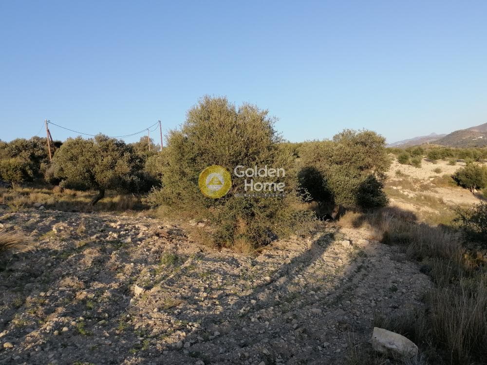 Αγροτεμάχιο στην Καμηλάρι, Τυμπάκι — Φωτογραφία 18 από 22