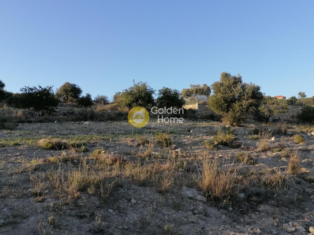 Αγροτεμάχιο στην Καμηλάρι, Τυμπάκι — Φωτογραφία 19 από 22