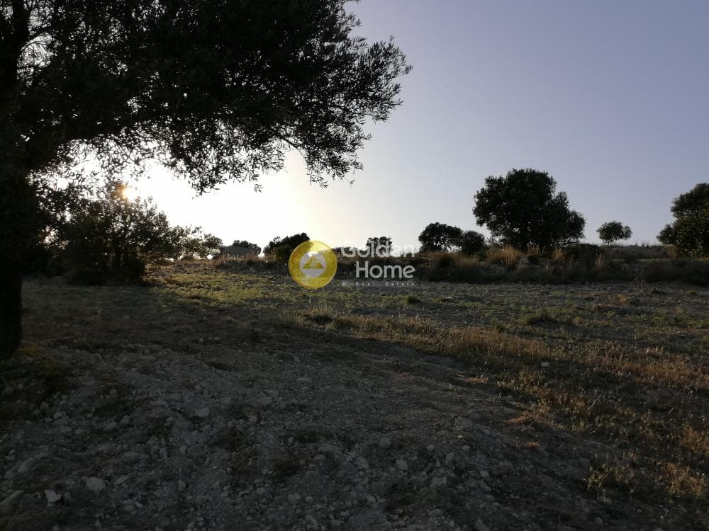Αγροτεμάχιο στην Καμηλάρι, Τυμπάκι — Φωτογραφία 20 από 22