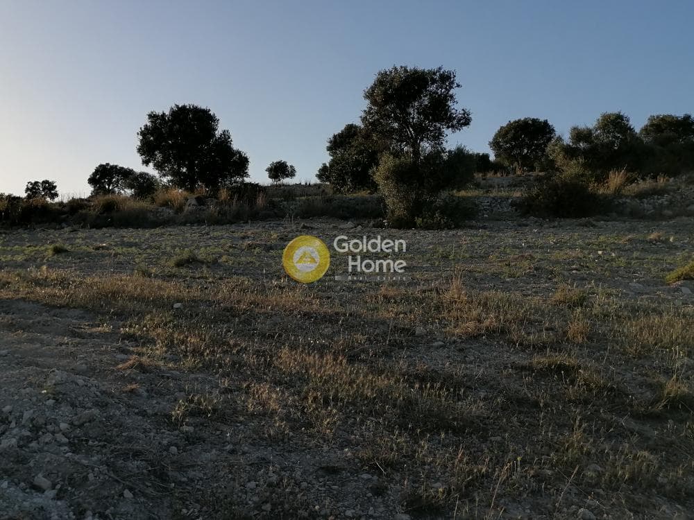 Αγροτεμάχιο στην Καμηλάρι, Τυμπάκι — Φωτογραφία 21 από 22