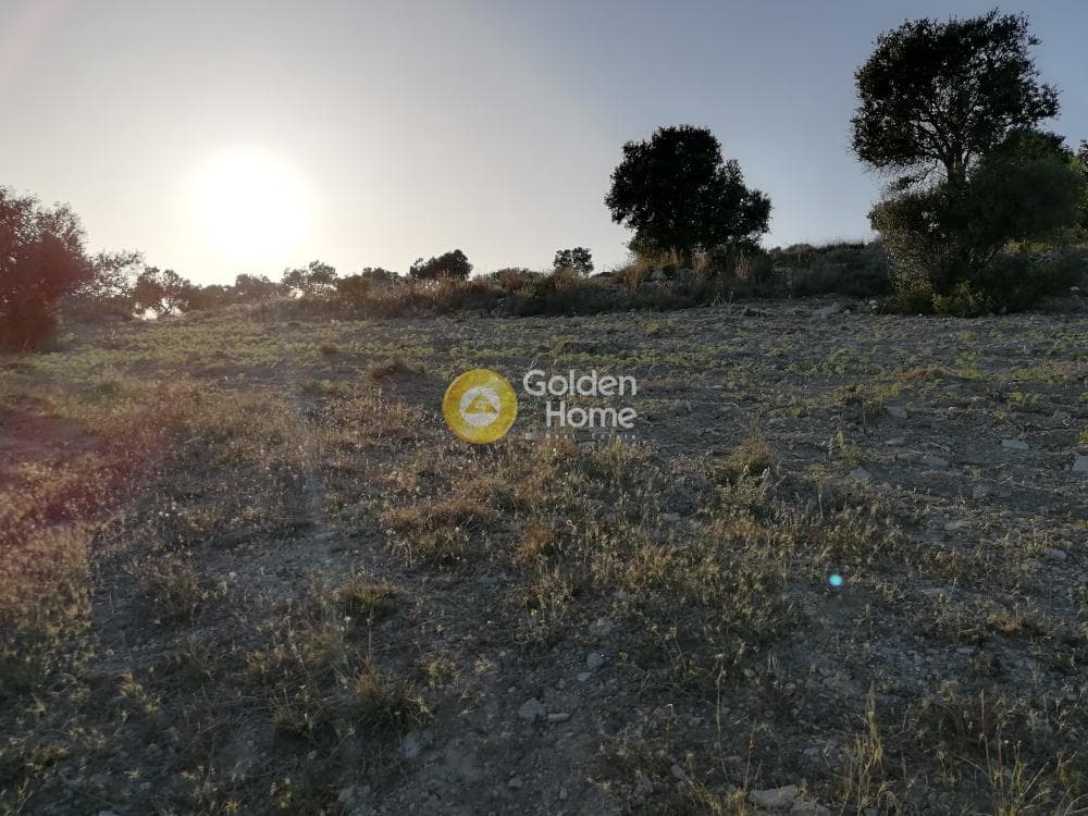 Αγροτεμάχιο στην Καμηλάρι, Τυμπάκι — Φωτογραφία 22 από 22