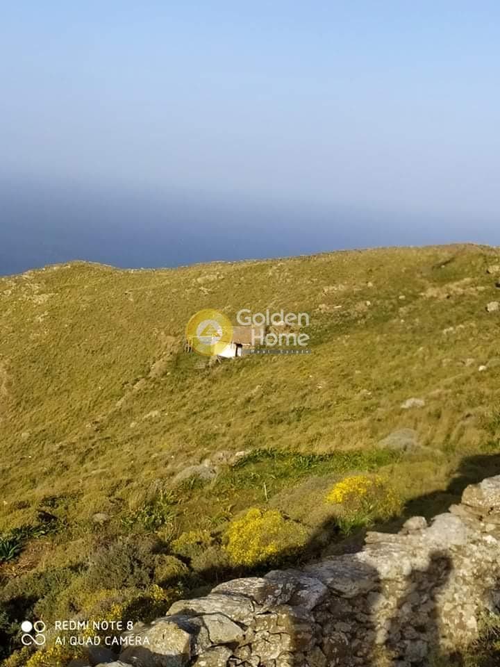 Αγροτεμάχιο στην Φλαμπούρια, Κύθνος — Φωτογραφία 5 από 8