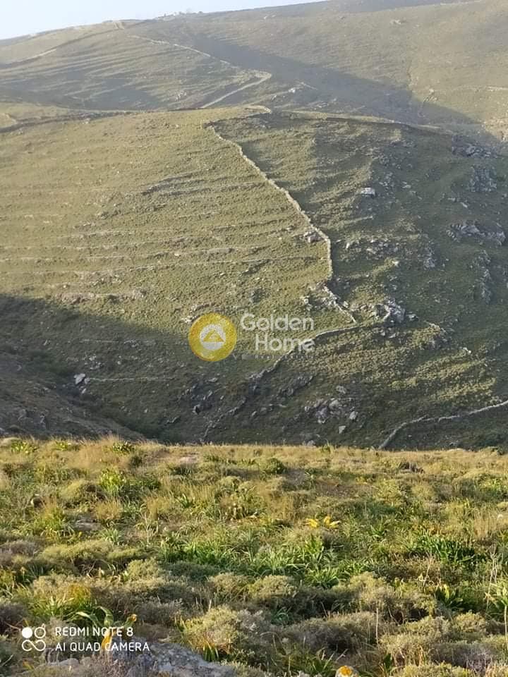 Αγροτεμάχιο στην Φλαμπούρια, Κύθνος — Φωτογραφία 7 από 8