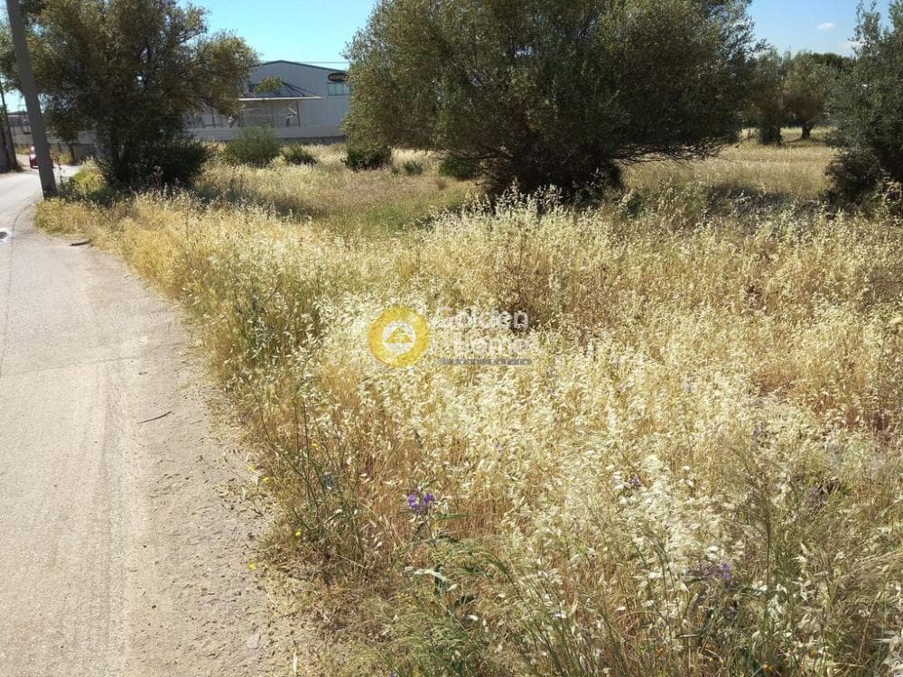 Αγροτεμάχιο στην Μεγάλα Σχοινία Α, Αχαρνές — Φωτογραφία 3 από 5