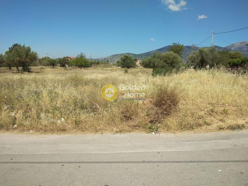 Αγροτεμάχιο στην Μεγάλα Σχοινία Α, Αχαρνές — Φωτογραφία 5 από 5
