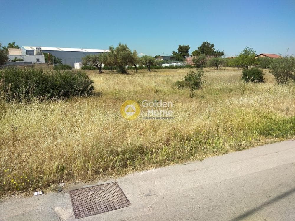 Αγροτεμάχιο στην Μεγάλα Σχοινία Α, Αχαρνές — Φωτογραφία 4 από 5