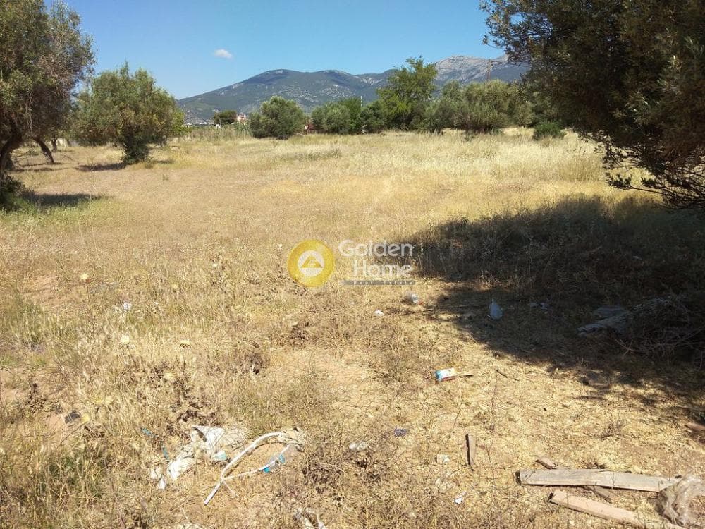 Αγροτεμάχιο στην Μεγάλα Σχοινία Α, Αχαρνές — Φωτογραφία 2 από 4