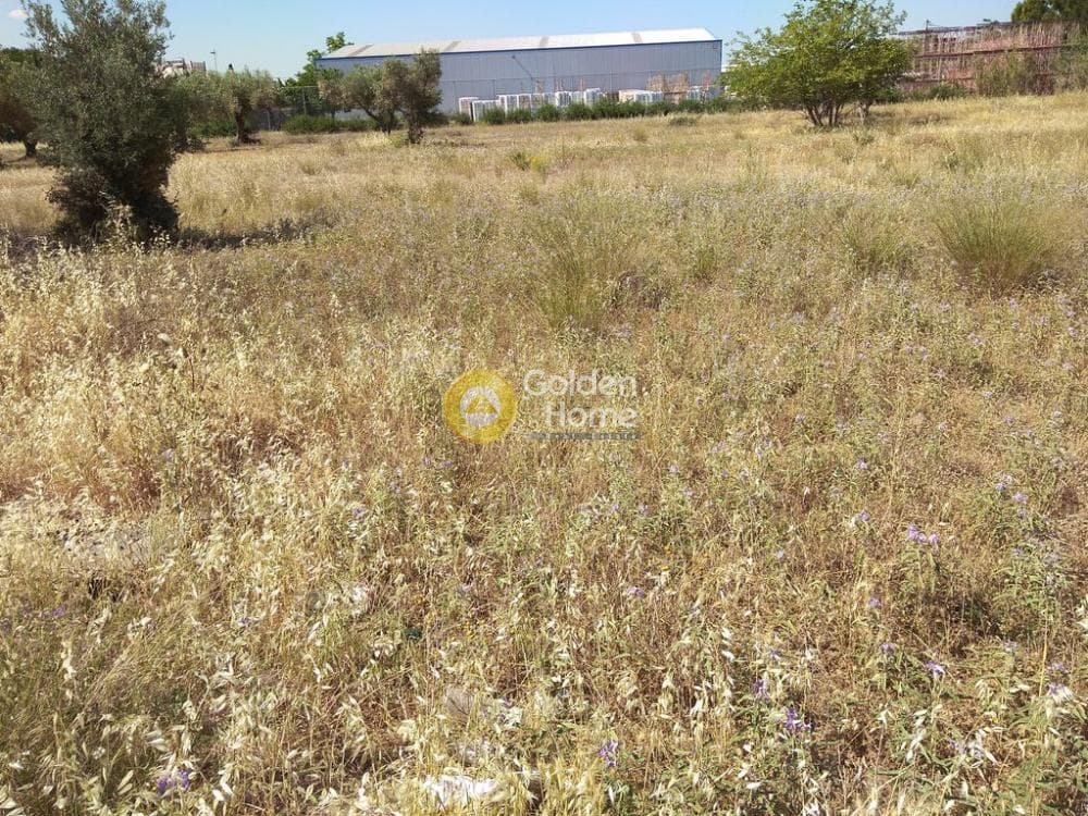 Αγροτεμάχιο στην Μεγάλα Σχοινία Α, Αχαρνές — Φωτογραφία 3 από 4