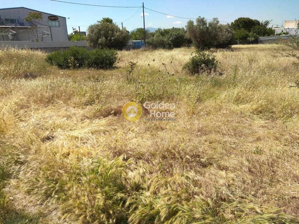 Αγροτεμάχιο στην Μεγάλα Σχοινία Α, Αχαρνές — Φωτογραφία 4 από 4