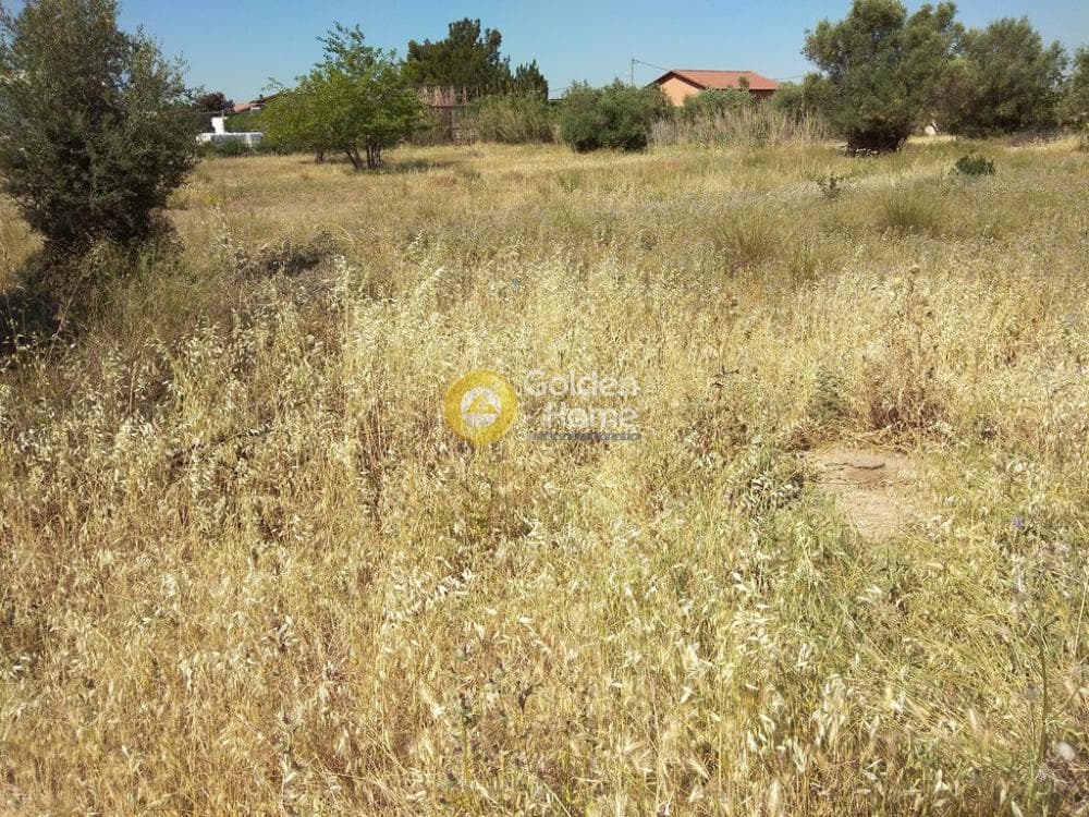 Αγροτεμάχιο στην Μεγάλα Σχοινία Α, Αχαρνές — Φωτογραφία 1 από 4