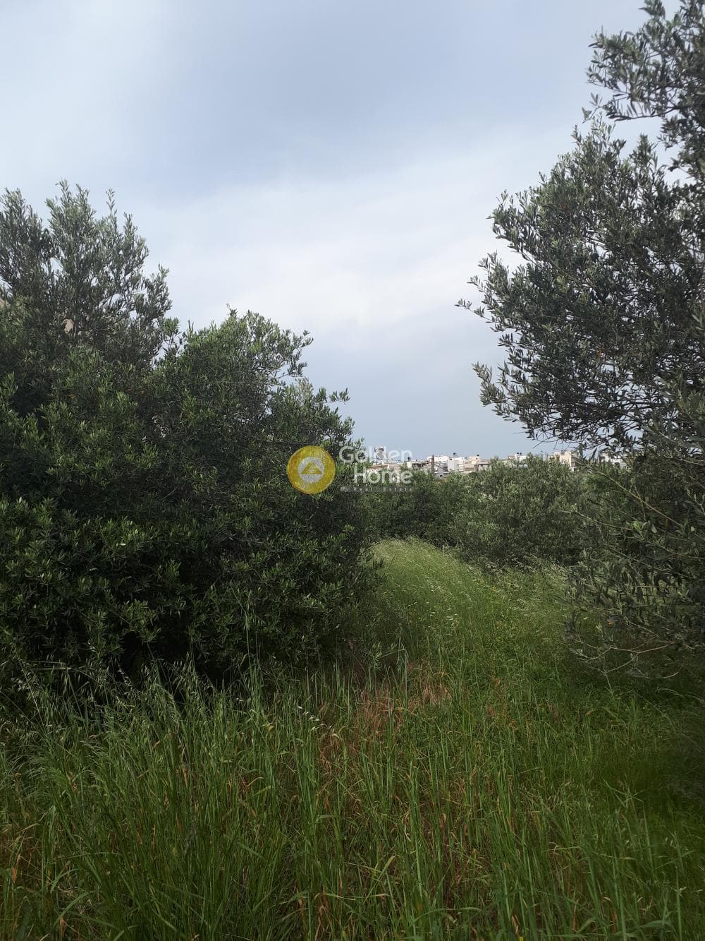Οικόπεδο στην Ροδιά, Γάζι — Φωτογραφία 3 από 8