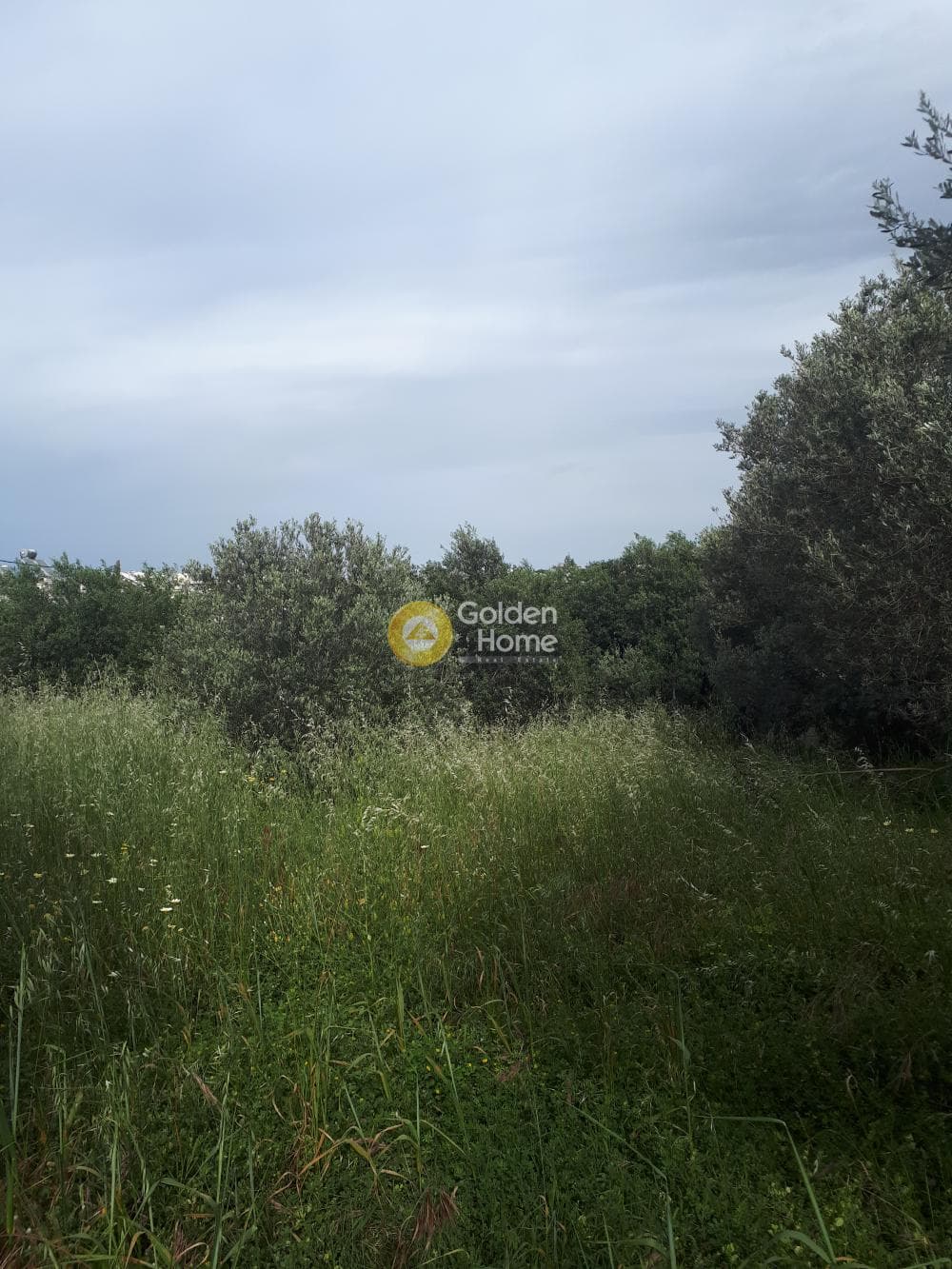 Οικόπεδο στην Ροδιά, Γάζι — Φωτογραφία 5 από 8