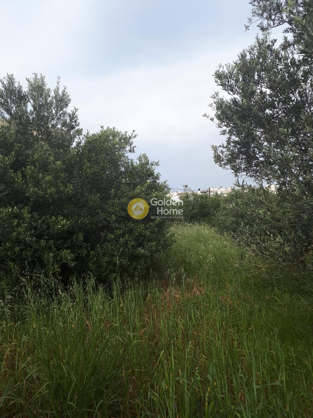 Οικόπεδο στην Ροδιά, Γάζι — Φωτογραφία 2 από 8