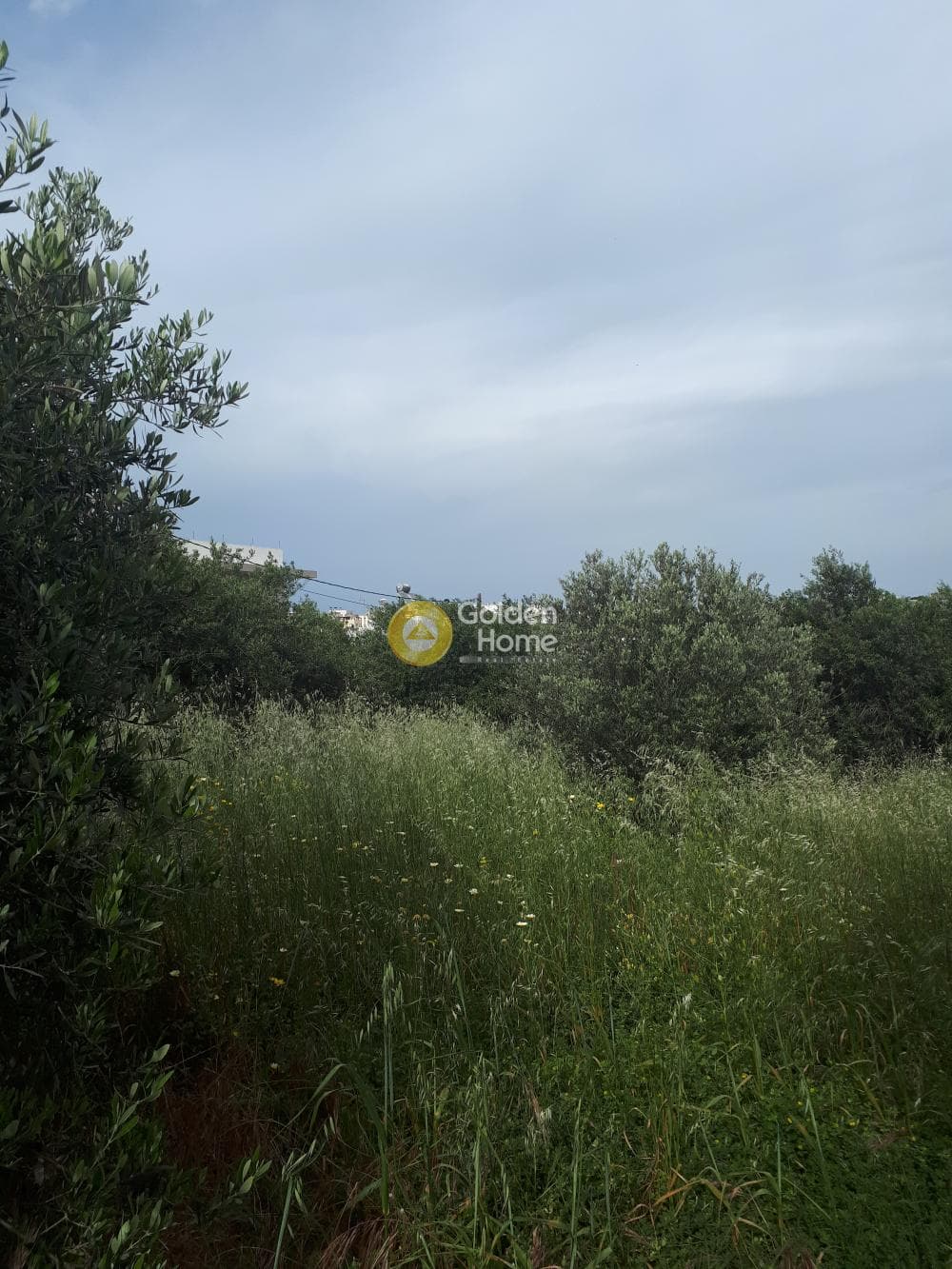 Οικόπεδο στην Ροδιά, Γάζι — Φωτογραφία 6 από 8