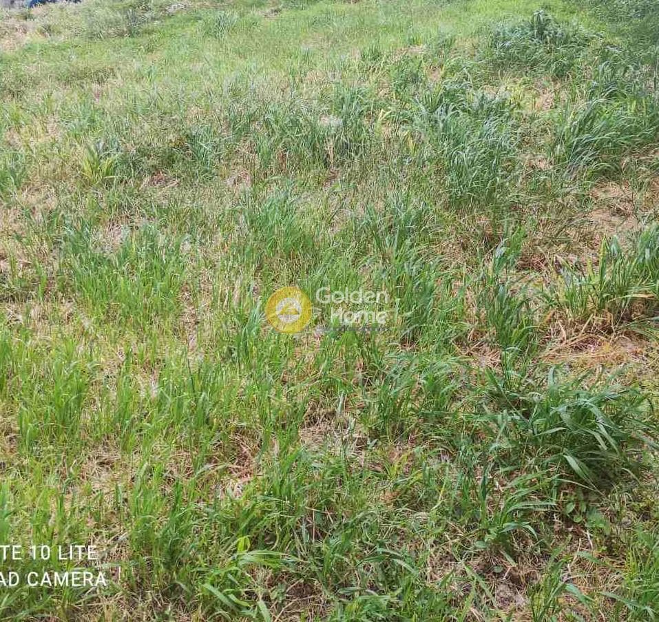 Parcel in Foinikia, Temenos — Photo 1 of 3