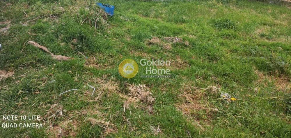 Parcel in Foinikia, Temenos — Photo 2 of 3