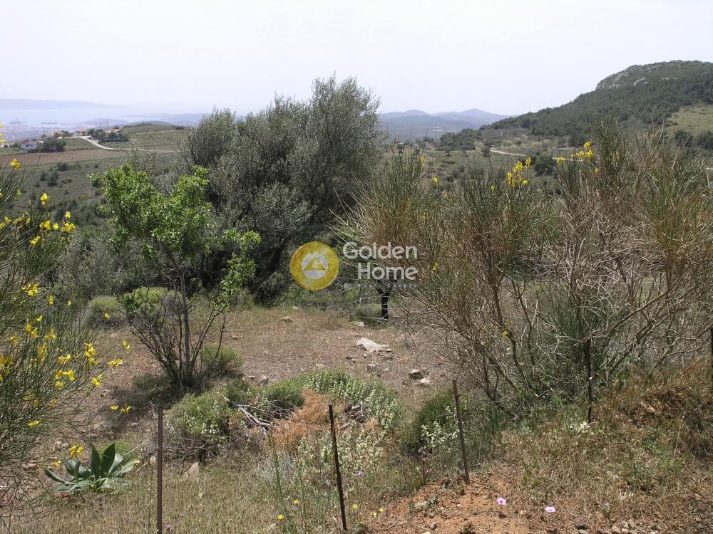 Αγροτεμάχιο στην Ριμπάρι, Κερατέα — Φωτογραφία 3 από 8