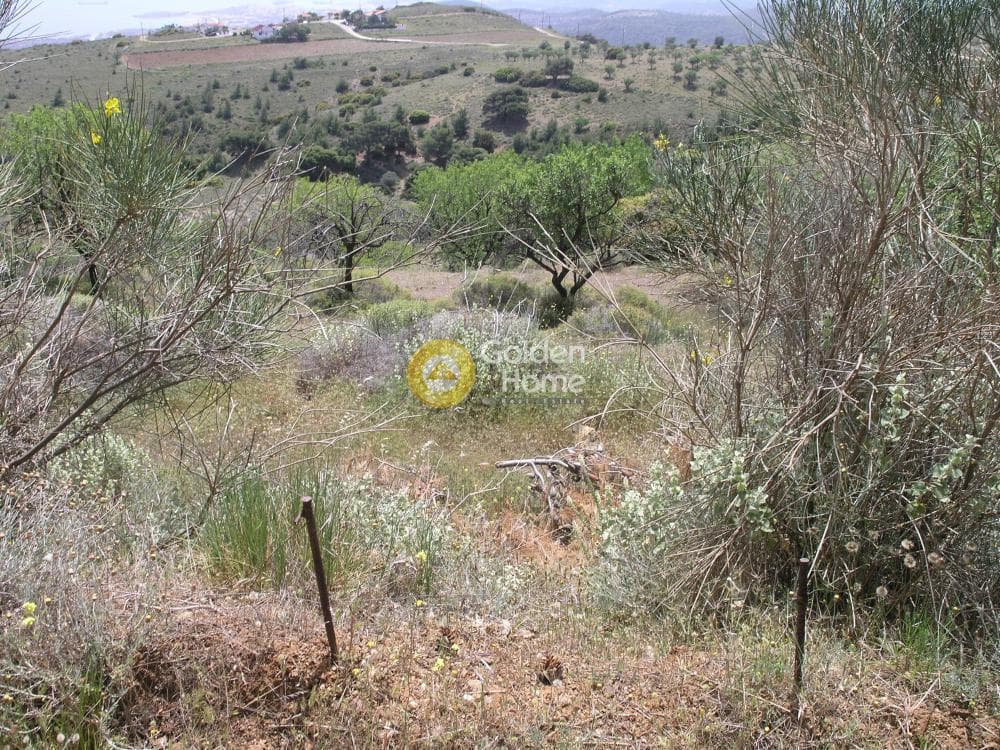 Αγροτεμάχιο στην Ριμπάρι, Κερατέα — Φωτογραφία 4 από 8
