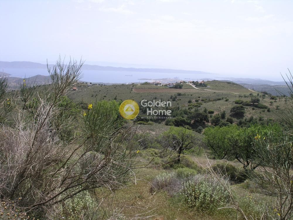 Αγροτεμάχιο στην Ριμπάρι, Κερατέα — Φωτογραφία 5 από 8