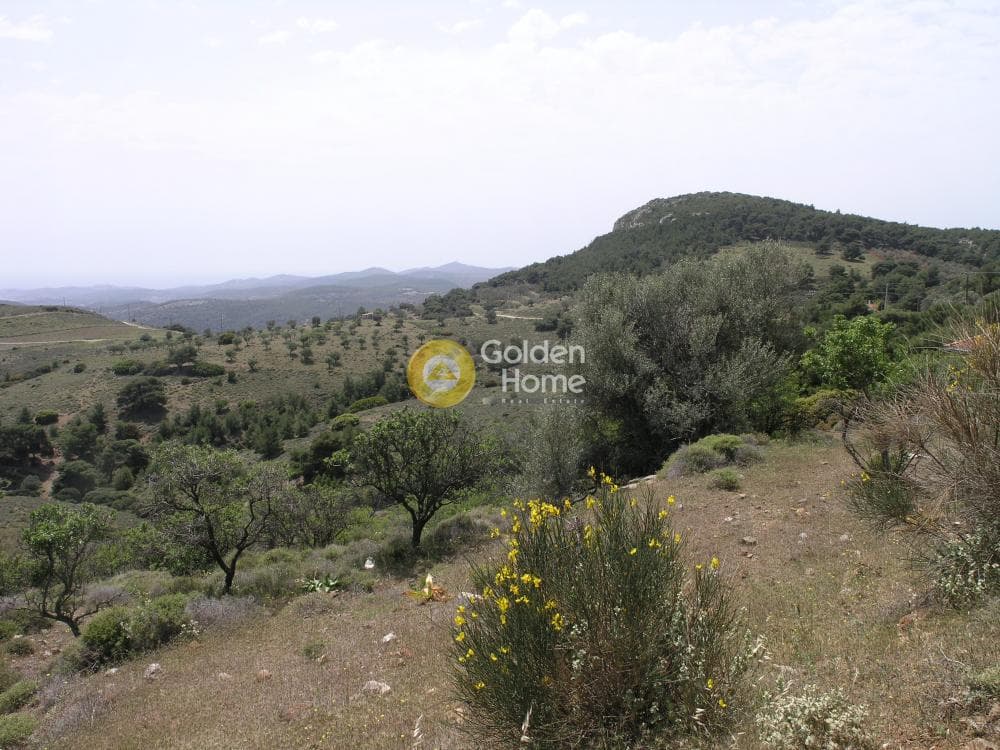 Αγροτεμάχιο στην Ριμπάρι, Κερατέα — Φωτογραφία 7 από 8