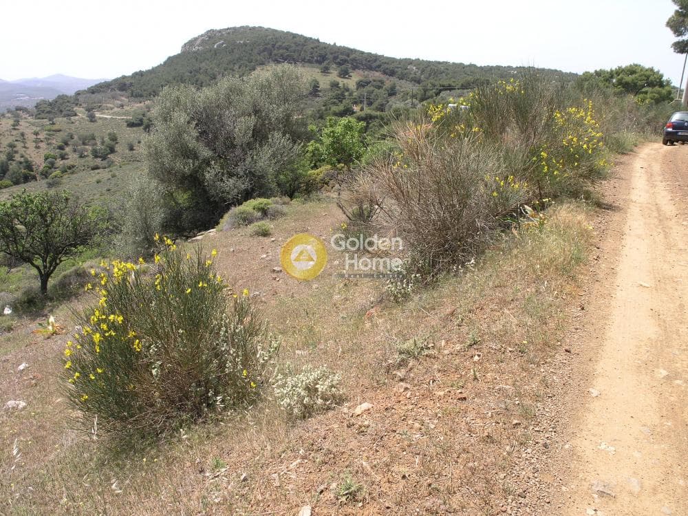 Αγροτεμάχιο στην Ριμπάρι, Κερατέα — Φωτογραφία 8 από 8