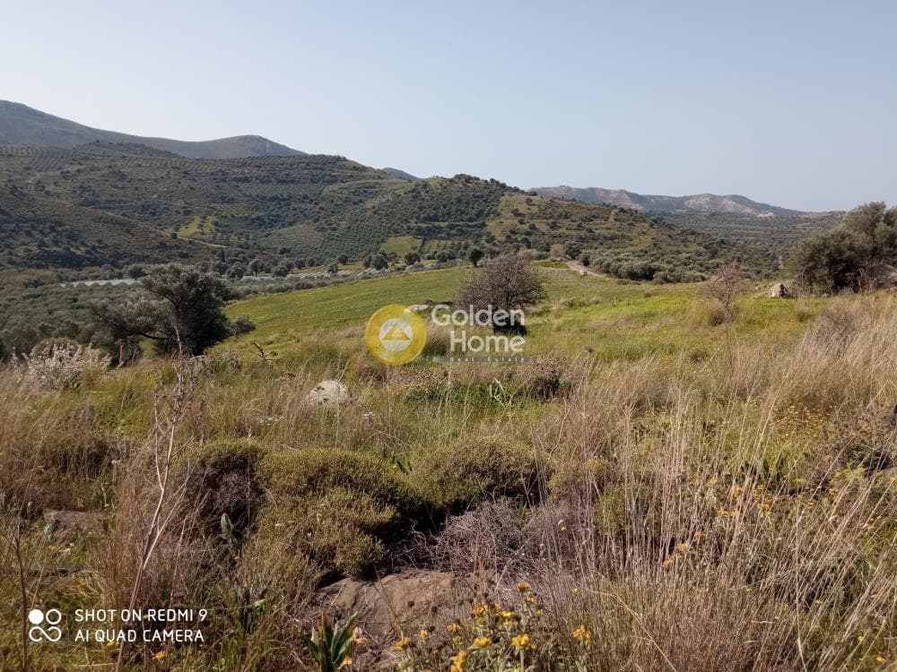 Οικόπεδο στην Κουσές, Μοίρες — Φωτογραφία 3 από 14