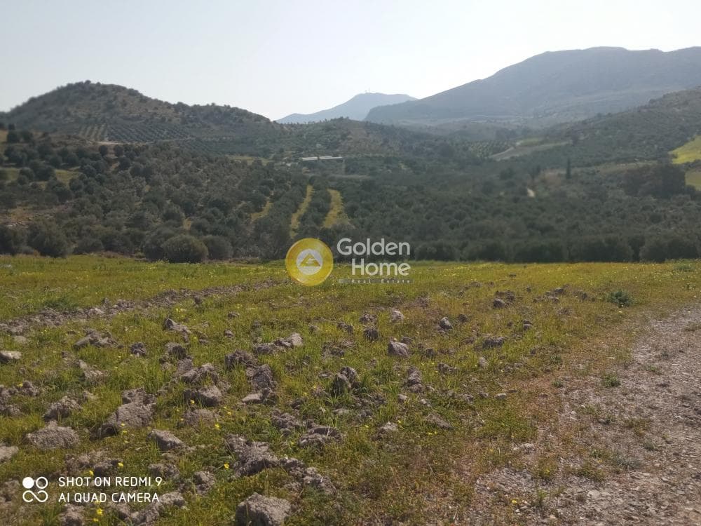 Οικόπεδο στην Κουσές, Μοίρες — Φωτογραφία 12 από 14